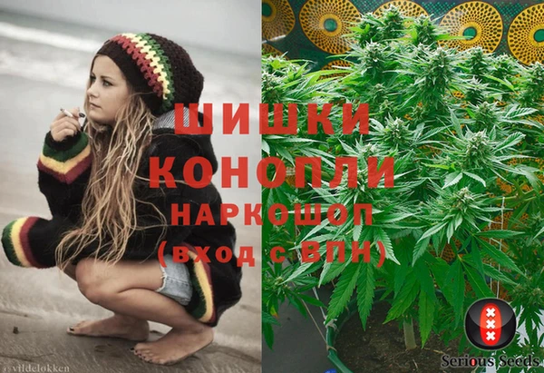 спиды Заводоуковск