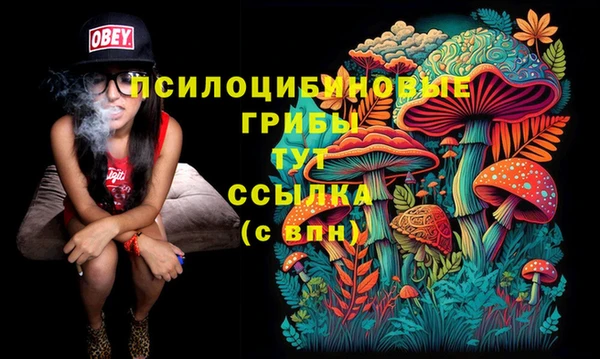 трава Елабуга