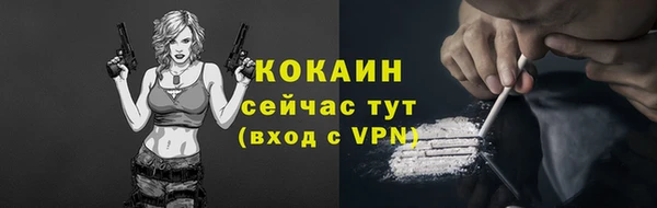 PSILOCYBIN Семилуки