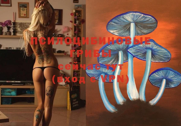 PSILOCYBIN Семилуки